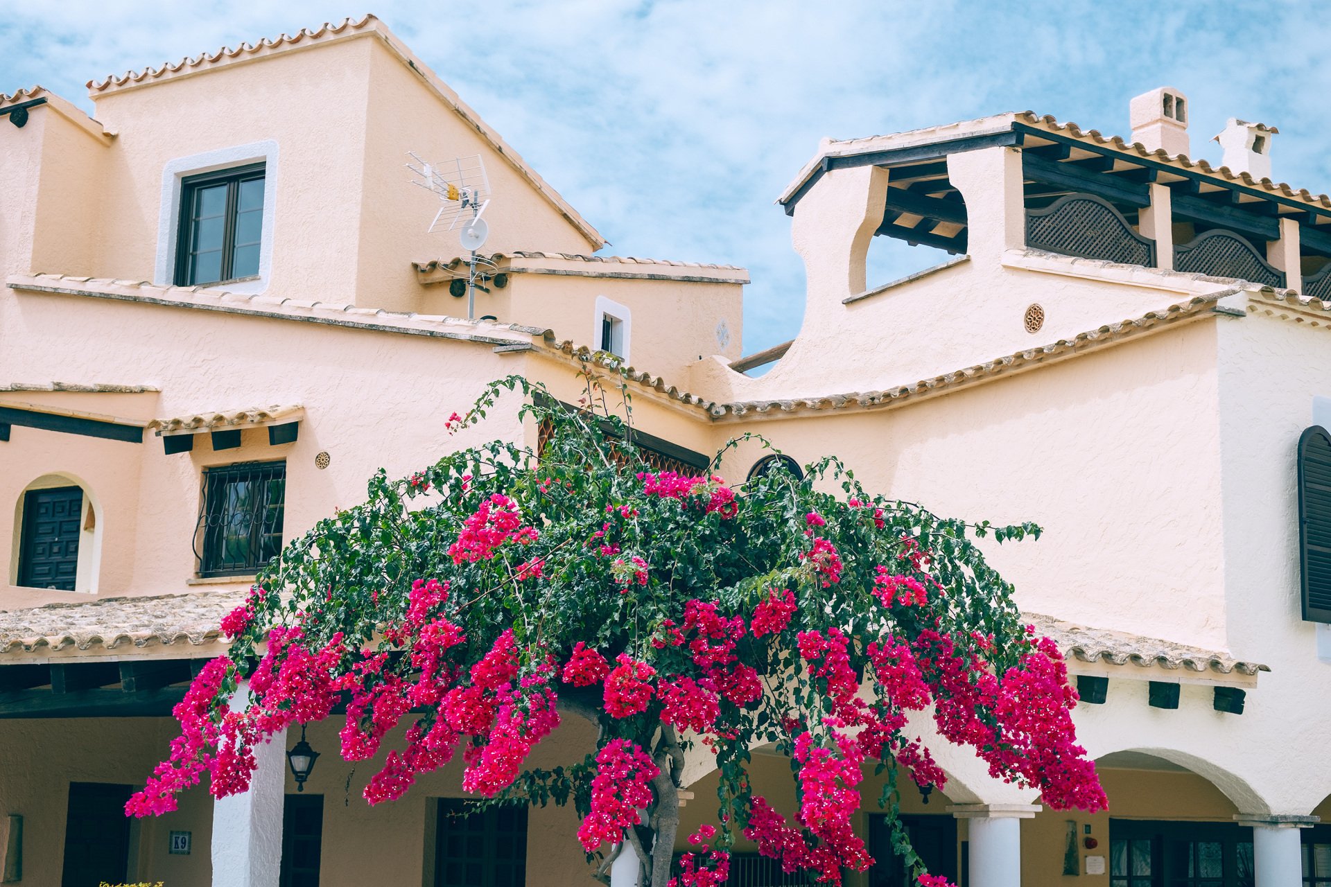 Edificio de fachadas claras con tejados de tejas, ventanas oscuras, arcos y una terraza cubierta, con abundantes flores fucsias en primer plano.