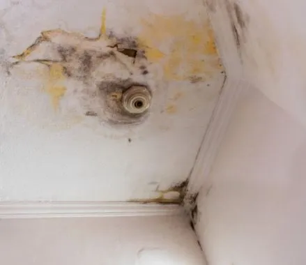 rehabilitar un tejado con goteras a precio económico en Alcalá de Henares, Madrid