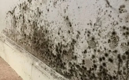 reparar humedad por capilaridad a bajo coste en Alcalá de Henares, Madrid